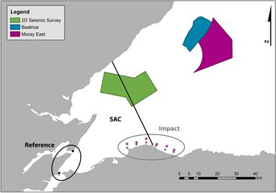 Far-Field Effects of Impulsive Noise on Coastal Bottlenose Dolphins